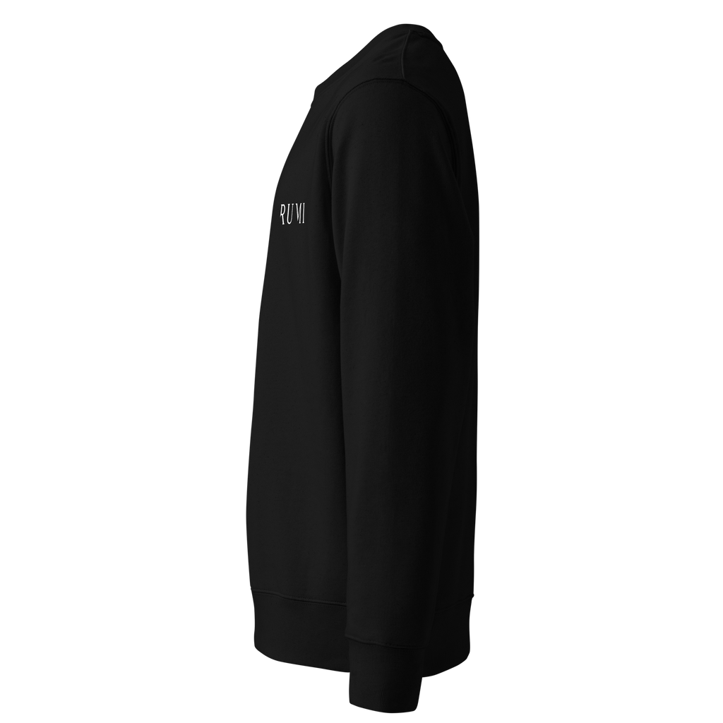 Bio-Pullover