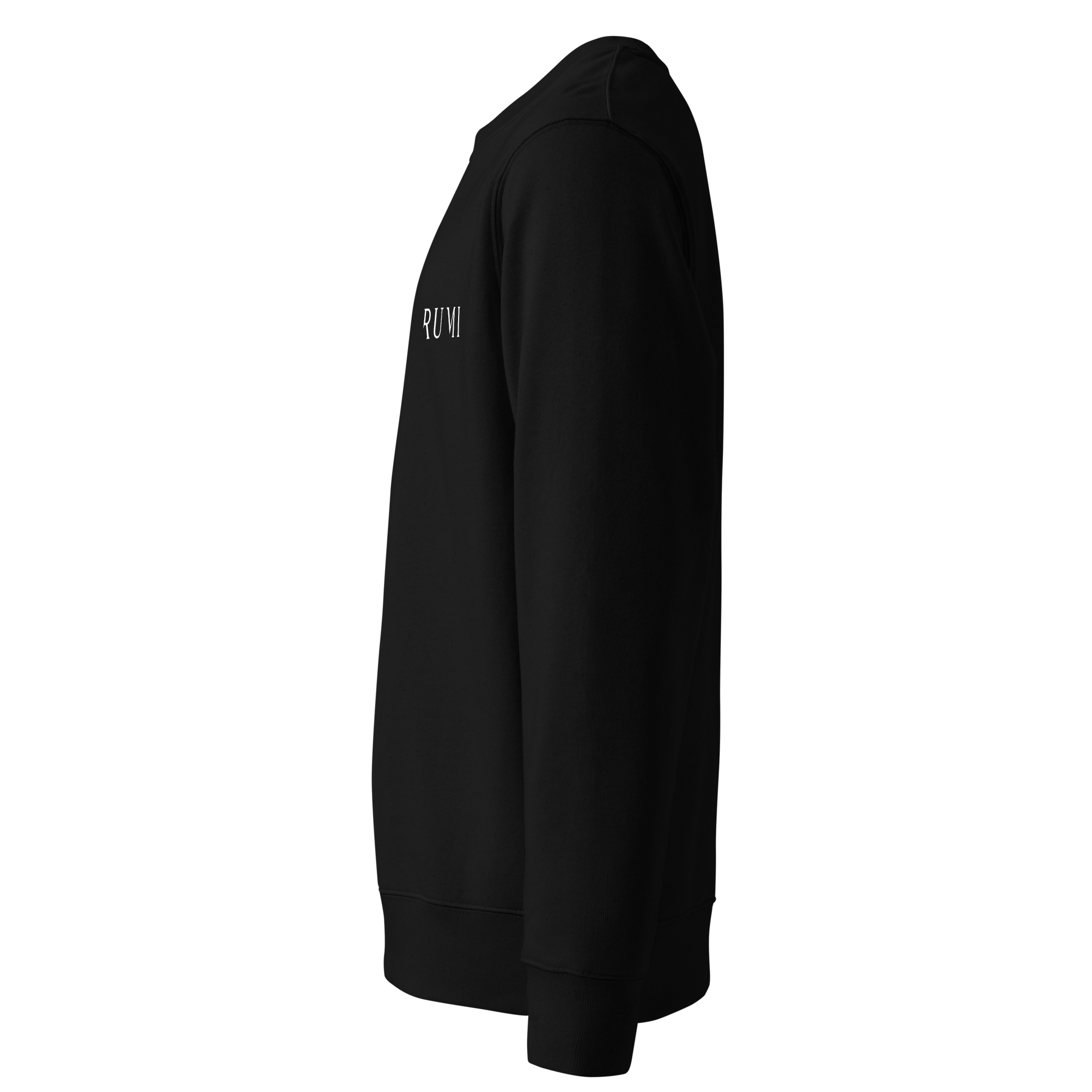 Bio-Pullover